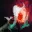 Orchid Malevolence
